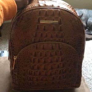 Brahmin book bag